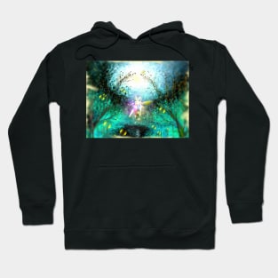 Lost Forest Fairy Hoodie